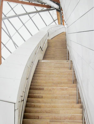 Anne Sager Rising Stairs Chromogenic Print (9773780795699)