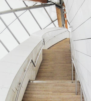 Anne Sager Rising Stairs Chromogenic Print (9773780795699)