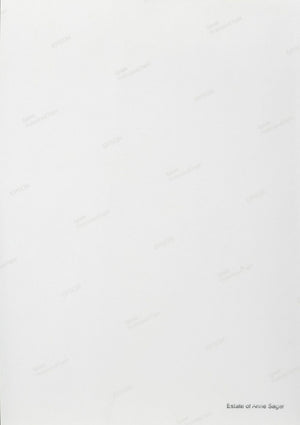 Anne Sager Rising Stairs Chromogenic Print (9773780795699)
