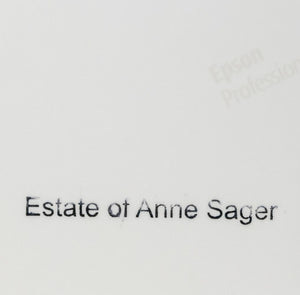 Anne Sager Rising Stairs Chromogenic Print (9773780795699)