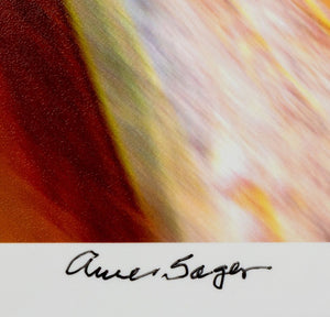 Anne Sager Abstract Paint Pour Composition C-Print (9770008707379)