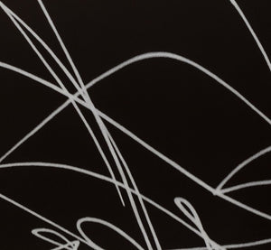 Anne Sager Abstract Scribble Composition C-Print (9768338030899)