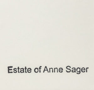 Anne Sager Airplane Interior Photograph C-Print (9773830406451)