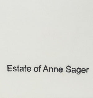 Anne Sager Airplane Interior Photograph C-Print (9773845512499)