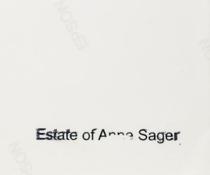 Anne Sager Airplane Wing Photograph C-Print (9773892370739)