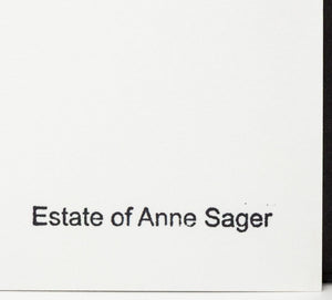 Anne Sager Signs Through The Car Window C-Print (9773896663347)