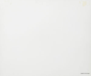 Anne Sager Forest in Fog Color Photograph Print (9773912195379)