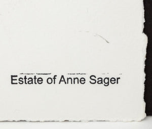 Anne Sager Forest in Fog Color Photograph Print (9773912195379)