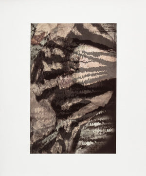 Anne Sager Abstracted Forest Reflections Print (9773919928627)