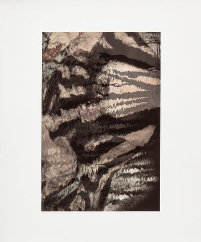 Anne Sager Abstracted Forest Reflections Print