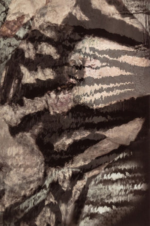 Anne Sager Abstracted Forest Reflections Print (9773919928627)