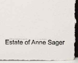 Anne Sager Tree Bark Composition Photograph (9773927301427)