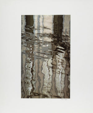 Anne Sager Forest Reflections Color Photograph (9773931036979)