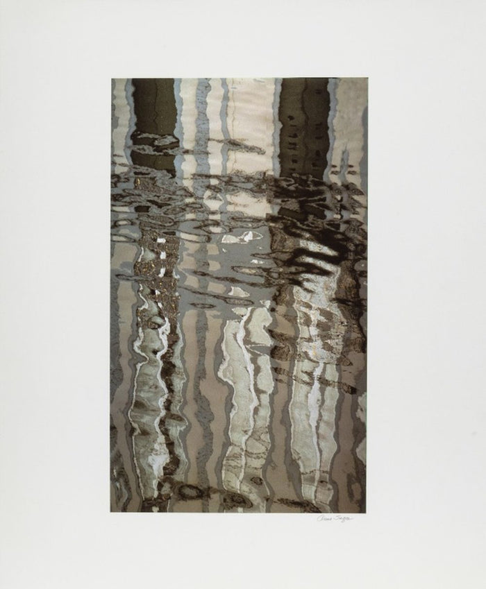 Anne Sager Forest Reflections Color Photograph