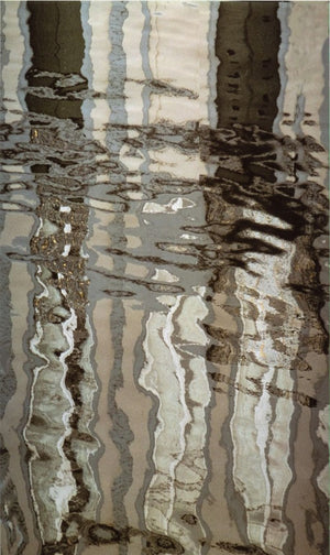 Anne Sager Forest Reflections Color Photograph (9773931036979)