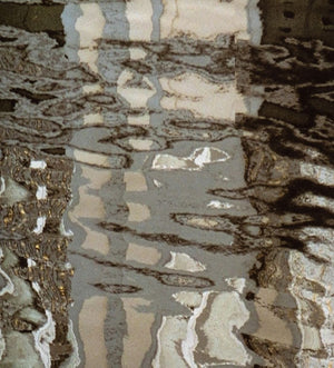 Anne Sager Forest Reflections Color Photograph (9773931036979)