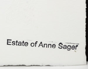 Anne Sager Forest Reflections Color Photograph (9773931036979)