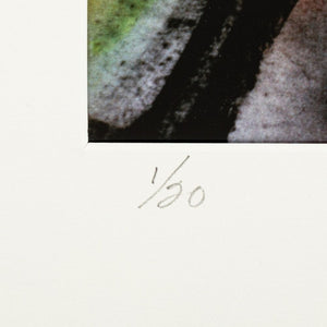Anne Sager "Trying to Live..." Photograph C-Print (9792435781939)