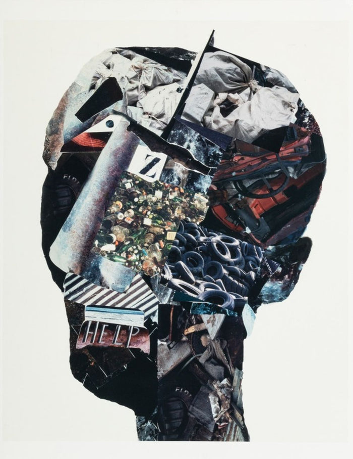 Anne Sager "Angst" Photograph Collage C-Print