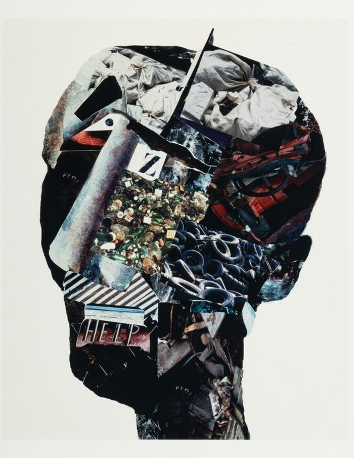 Anne Sager "Angst" Photograph Collage C-Print