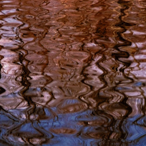 Anne Sager Forest Reflections Photograph Print (9792458654003)