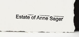 Anne Sager Forest Reflections Photograph Print (9792458654003)