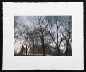 Anne Sager City Park Reflections Photograph Print (9792470876467)