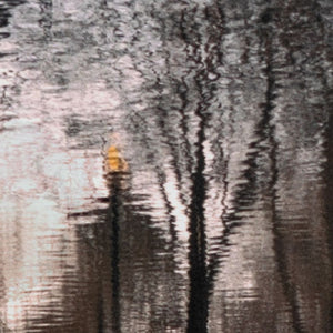 Anne Sager City Park Reflections Photograph Print (9792470876467)