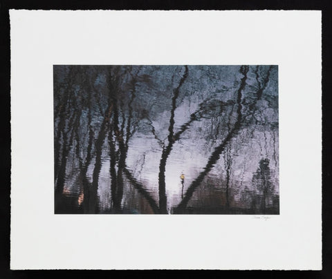 Anne Sager City Park Reflections Photograph Print