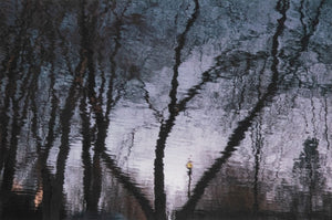 Anne Sager City Park Reflections Photograph Print (9792491290931)