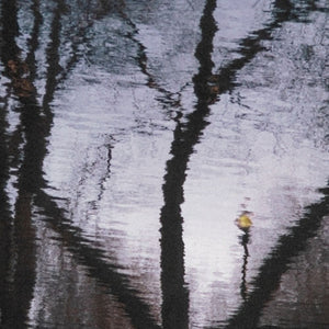 Anne Sager City Park Reflections Photograph Print (9792491290931)