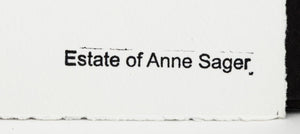 Anne Sager City Park Reflections Photograph Print (9792491290931)