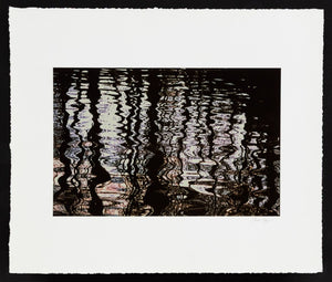 Anne Sager Forest Reflections Photograph Print (9792505053491)