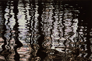 Anne Sager Forest Reflections Photograph Print (9792505053491)