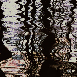 Anne Sager Forest Reflections Photograph Print (9792505053491)
