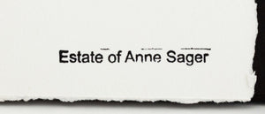 Anne Sager Forest in Fog Color Photograph Print (9792511803699)