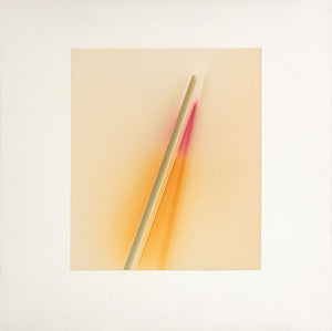 Anne Sager Abstract Composition in Cream Photogram (9790621778227)