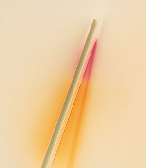 Anne Sager Abstract Composition in Cream Photogram (9790621778227)