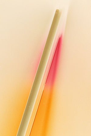 Anne Sager Abstract Composition in Cream Photogram (9790621778227)