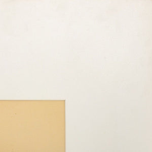 Anne Sager Abstract Composition in Cream Photogram (9790621778227)