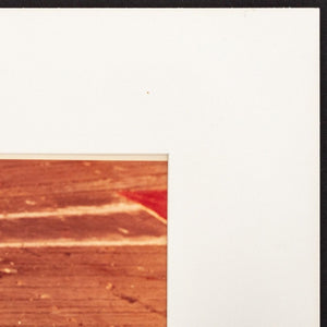 Anne Sager Wood Grain Photograph C-Print (9792604012851)