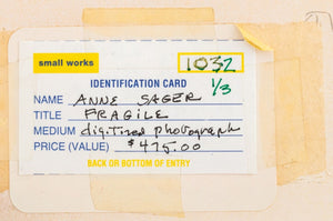 Anne Sager "Fragile" Digitized Archival Print (9790463148339)