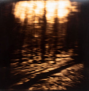 Gwen Akin & Allan Ludwig Landscape Cibachromes, 2 (9881998098739)