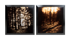 Gwen Akin & Allan Ludwig Landscape Cibachromes, 2 (9881998098739)