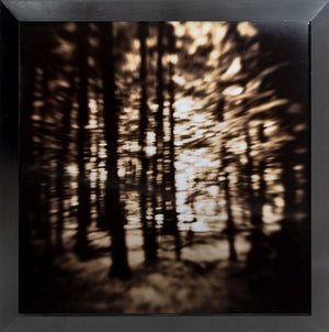 Gwen Akin & Allan Ludwig Landscape Cibachromes, 2 (9881998098739)