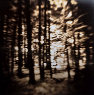 Gwen Akin & Allan Ludwig Landscape Cibachromes, 2 (9881998098739)