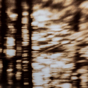Gwen Akin & Allan Ludwig Landscape Cibachromes, 2 (9881998098739)