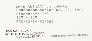 Gwen Akin & Allan Ludwig Landscape Cibachromes, 2 (9881998098739)