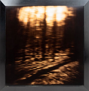 Gwen Akin & Allan Ludwig Landscape Cibachromes, 2 (9881998098739)