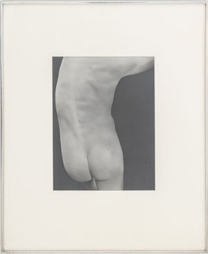 Edward Weston Nude Studies Silver Prints, 3 (9883722449203)